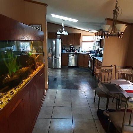 Private Pet Friendly Home Near Exotic Deer Farm Close To Pigeon Forge, Gatlinburg Tn Севьервилл Экстерьер фото