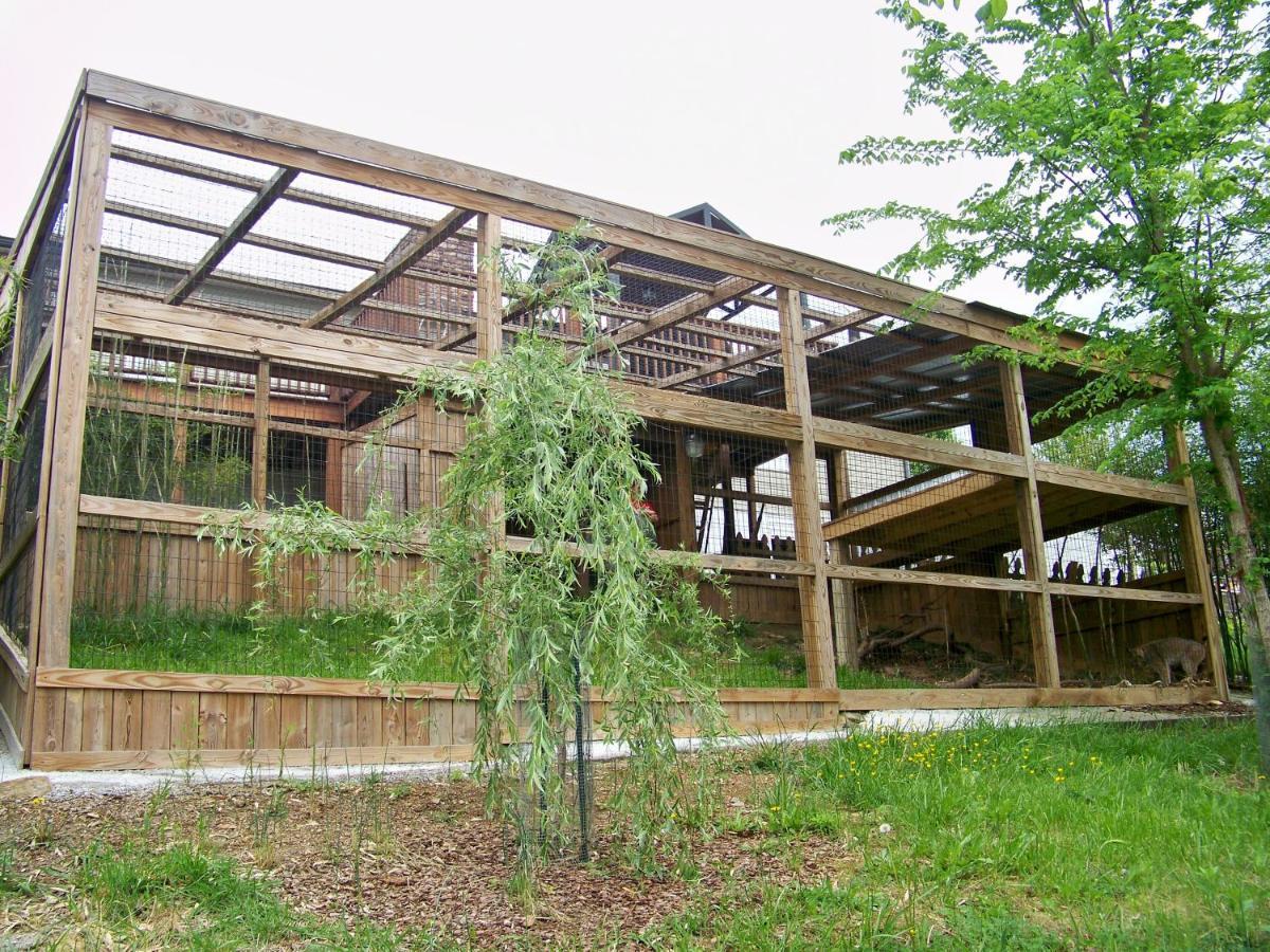 Private Pet Friendly Home Near Exotic Deer Farm Close To Pigeon Forge, Gatlinburg Tn Севьервилл Экстерьер фото
