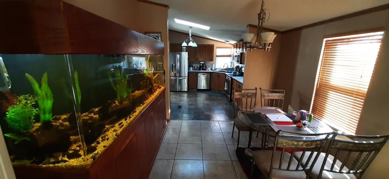 Private Pet Friendly Home Near Exotic Deer Farm Close To Pigeon Forge, Gatlinburg Tn Севьервилл Экстерьер фото
